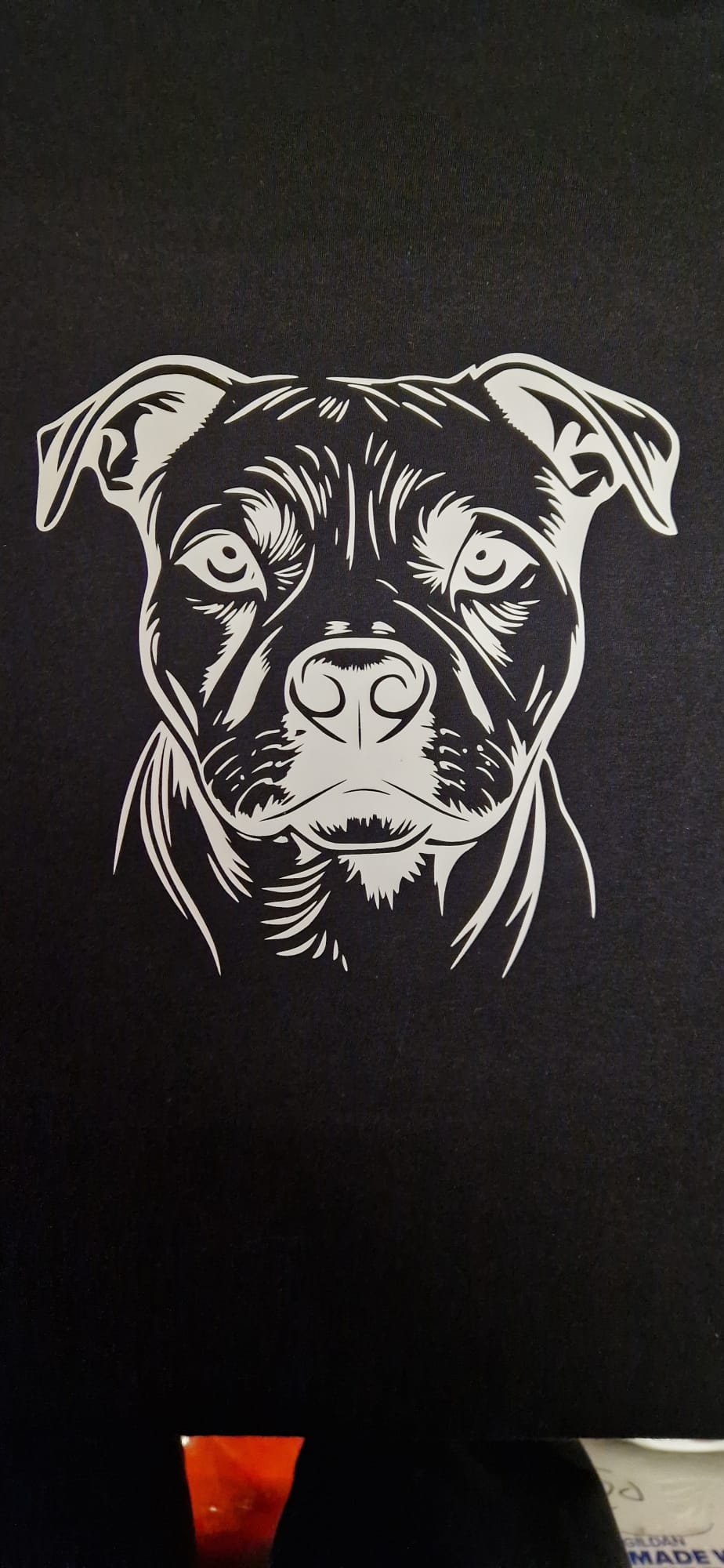 Staffie T Shirt - Differences Not Disabilities
