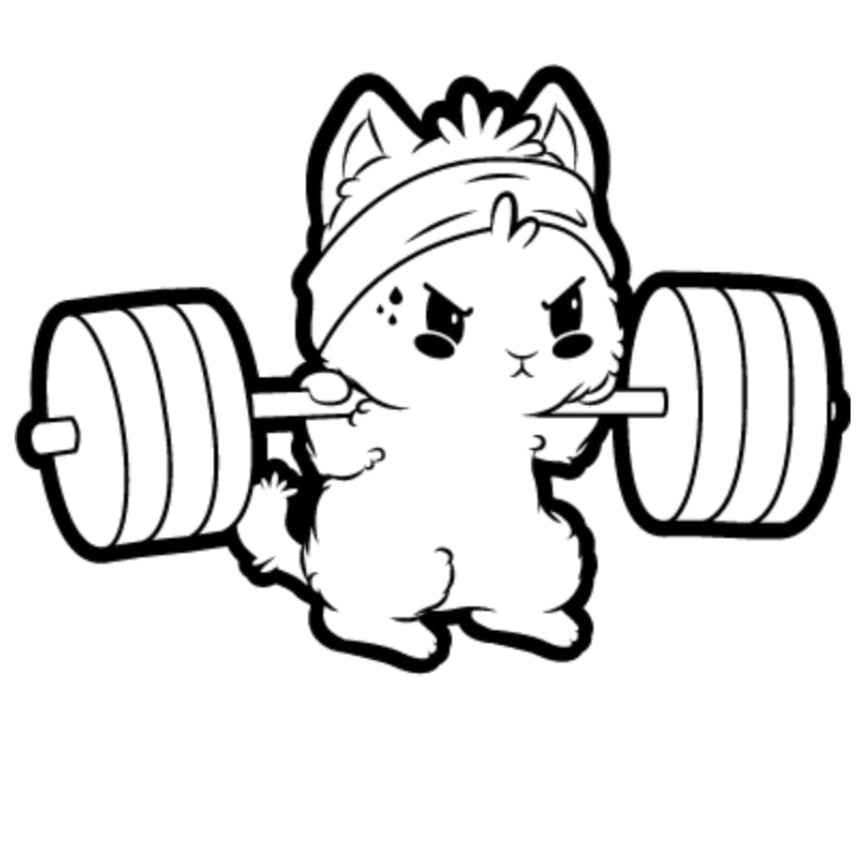 Gym Cat T Shirt