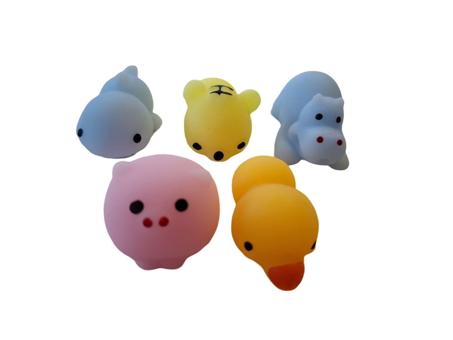 Squish Surprise - Differences Not Disabilities