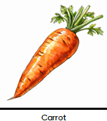 Vegetables Flash Cards - Differences Not Disabilities
