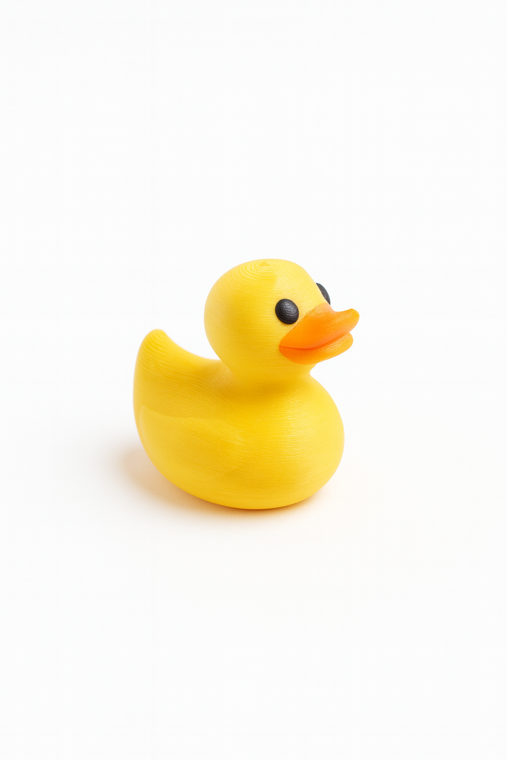 Tiny 3D Printed Duck - Differences Not Disabilities