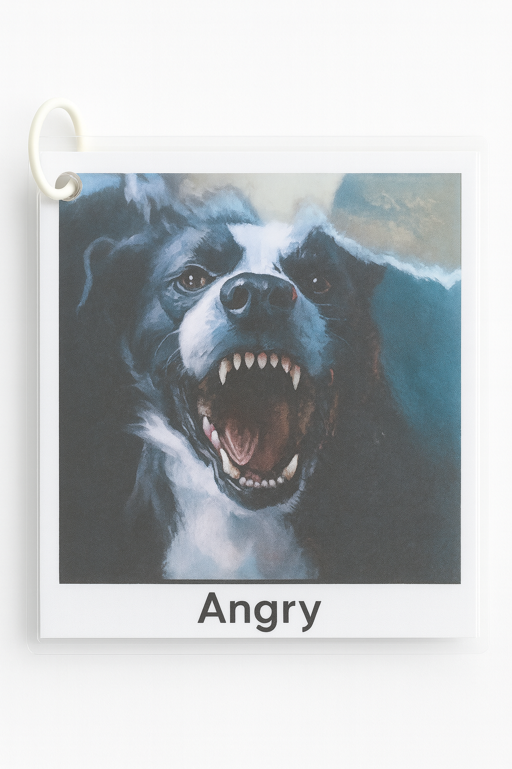 Dog Emotion Cards - Differences Not Disabilities
