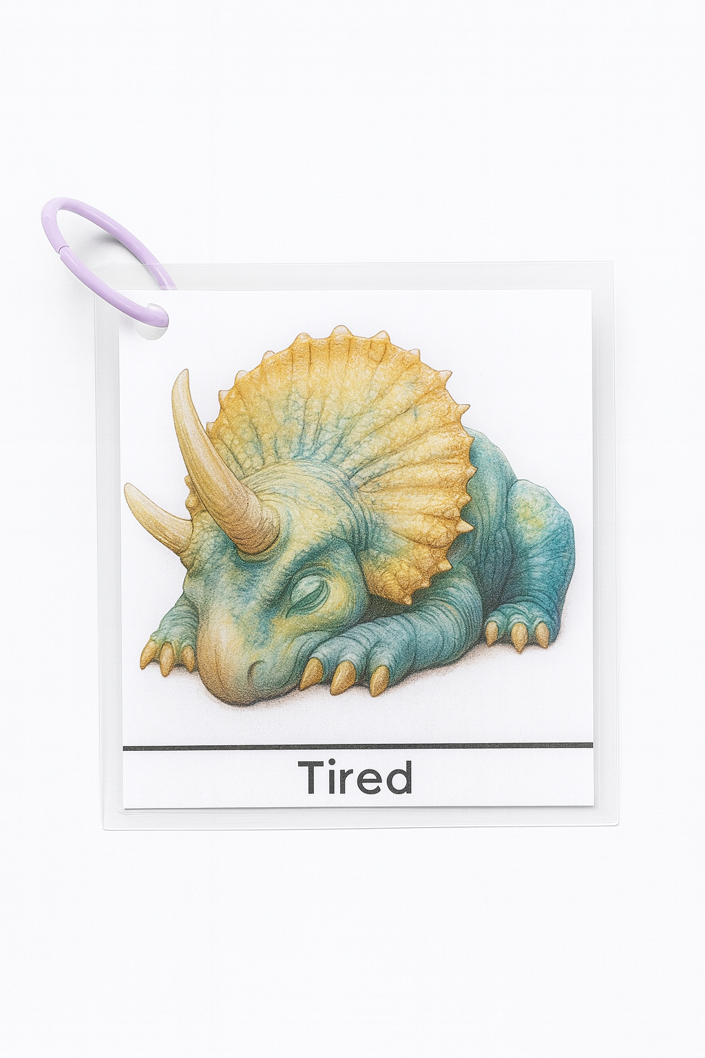 Dinosaur Emotion Cards - Differences Not Disabilities