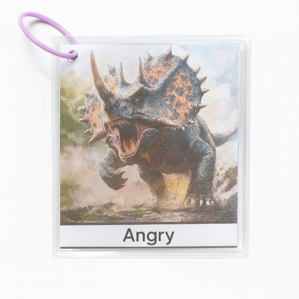 Dinosaur Emotion Cards - Differences Not Disabilities