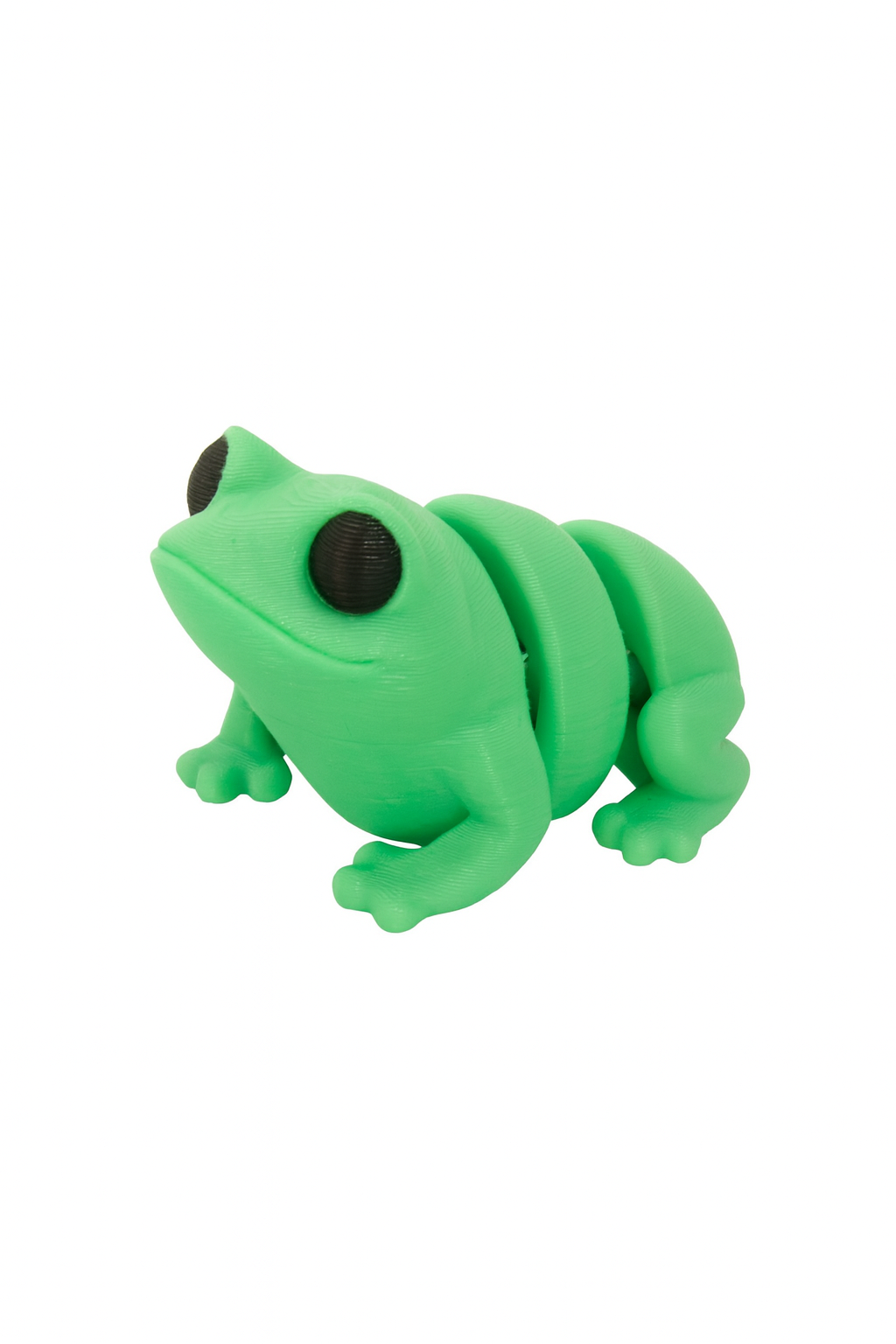Articulated Frog 3D Print - Differences Not Disabilities