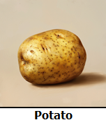 Vegetables Flash Cards - Differences Not Disabilities