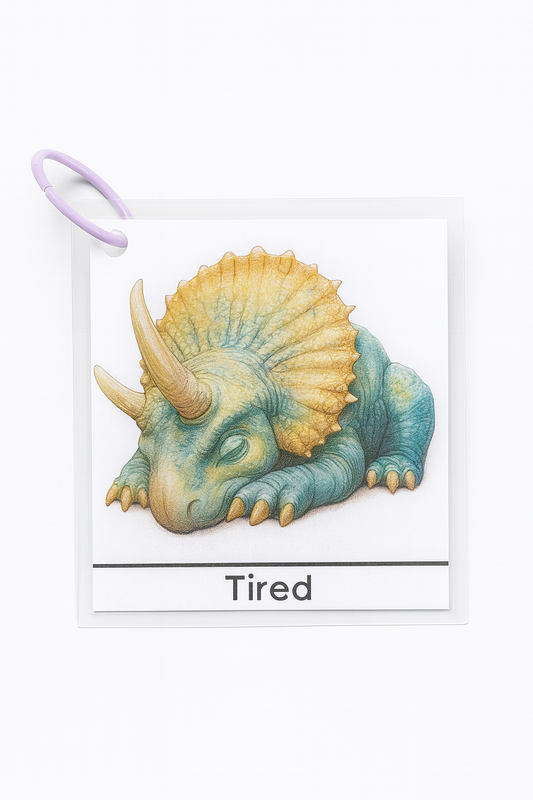 Dinosaur Emotion Cards - Differences Not Disabilities