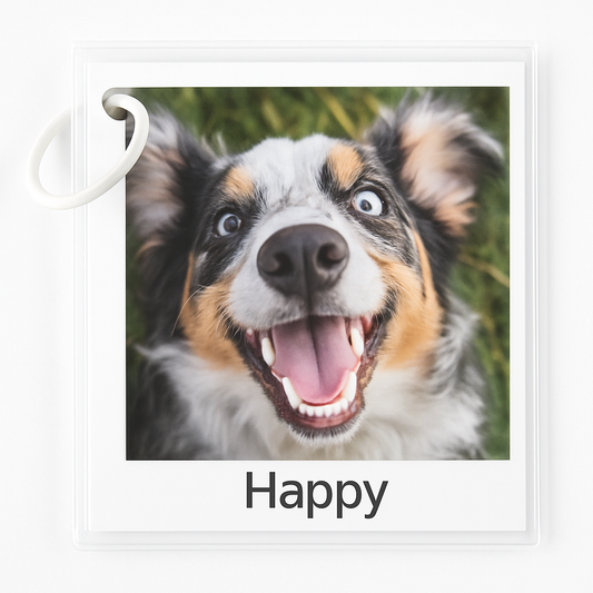 Dog Emotion Cards - Differences Not Disabilities