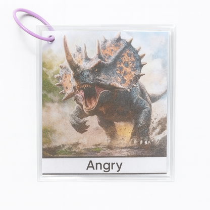 Dinosaur Emotion Cards - Differences Not Disabilities
