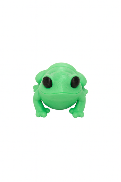 Articulated Frog 3D Print - Differences Not Disabilities